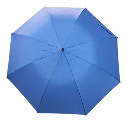 woman ladies 2 fold umbrella image 1