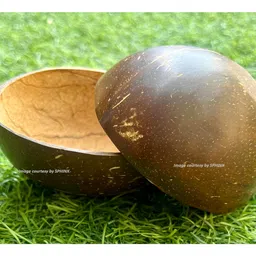 SPHINX Artisanal Biodegradable Natural Coconut Shells: Ideal for Candle Making, Filler, Table Decor, and Crafting- (2, Oval Shape- Glossy Finish) image 1