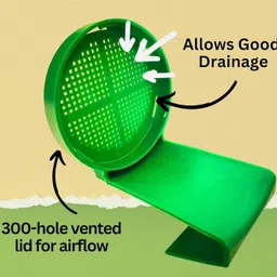 GROFFY Sprout Maker Multi Use Sprouts Maker jars - 720 ML Glass Mason Jar with Mesh Lid for All Seeds & Beans, Sprouts Making Box with Built in Drainage Stand (SET OF 1(GREEN)) image 4