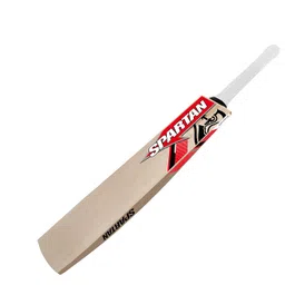 Spartan Sikander 2000 - David Warner Kashmir Willow Cricket Bat (800-950 kg) image 4