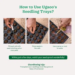 UGAOO Seedling Trays for Plants - 50 Cavities (Pack of 5) | 2X Thicker, Durable & Reusable Germination Tray for Farms & Kitchen Gardens image 5