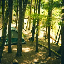 WROPZO Waterproof Camping Tent, 4 Person, Portable Polyester, for Hiking, Fishing, Travel, Multicolour image 3