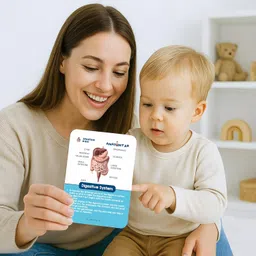 spartan kids SPARTAN KIDS® Human Organs Flash Cards | Early Learning 4D Technology Flash Cards for Kids | 27 Augmented Reality Cards for Kids 3+ Years image 2