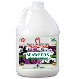 sansar green Sansar Green® Seaweeds Liquid Fertilizer for All Indoor and Outdoor Plants. 1000 ml image 1