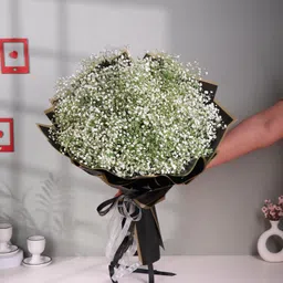 FlowerAura Fresh Live Premium Flower Bouquet of White Gypso Bunch Flowers For Birthday & Anniversary Gift, Wedding Gift, Mother's Day Gift, Love & Romance Gift, Father's Day Gift (Same Day Delivery) image 1