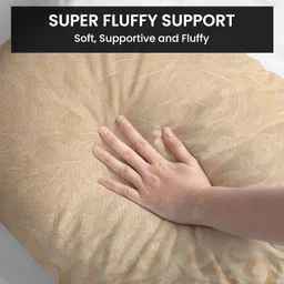 IVAZA Microfiber Square Pillow Cushion for Sofa & Bed | Soft, Fluffy for Comfort & Back Support | Breathable, Washable | Premium Velvet Outer Cover with Zip Set of 1 (12" x 12") Beige image 2