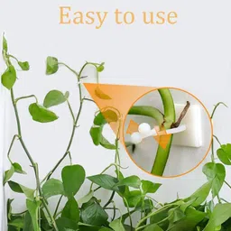 VernoCraft Plant Climbing Wall Fixture Clips Invisible Vines Fixing Fixer Self-Adhesive Sticky Hook Indoor Cable tie Vine Support 30 PCS image 2