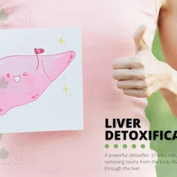 Bliss of Earth 500gm Milk Thistle Seeds Organic Super Food Great for Guts Health & Boost Immunity (Pack of 1) image 2