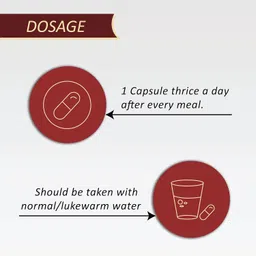 ayurveda yogashram remedies AZ Respicure | Lungs Detox Supplement | Respiratory Immunity Booster | Approved by Ministry of Ayush, Govt. of India | Protect Lungs from Smoking & Pollution - 60 Veg Capsules image 4