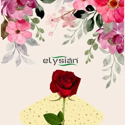 Silica Gel Loose Powder Silica Sand Moisture Absorber for Flower Drying Silica Art and Craft Uses Gel Desiccant 500 Gram Packet image 3