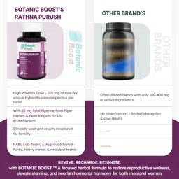 botanic boost Rathna Purush by BOTANIC BOOST™ | Ayurvedic Herbal Supplement for Daily Vitality & Well-Being image 4