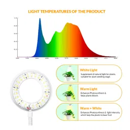 TrustBasket Grow Light | Full Spectrum Grow Light | 4 Dimmable Brightness | 3/6/12 Hrs Auto On/Off Timer | 1M Wire | White | LED Grow Lights for Plants | Artificial Sunlight for Plants image 4