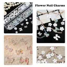 chuppinz Nail Charms, 12 Grids Five-Petal Flower and Unique Aurora Design, Bow Butterfly, Nail Art Accessories for Professional and DIY Nails Art,Resin Charms and Nail Stones image 3