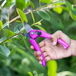 minarvo Garden Hand Toolkit Set of 8PCS(Trowel, Tranplanter,Fork, Seeder, Cultivator,Pruner, Gloves & Sprayer) Terrace Gardening Accessories | Tools Kit for Home Gardening image 5