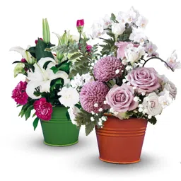 Grob Colourful 3 Inch Mini Buckets Pack of 4 |Ideal Mini Flower Pots Perfect Desk Organizing Tiny Buckets for Stationery Items for Home Decor|Powder Coated Iron|Smart Living Product, Multicolour image 2