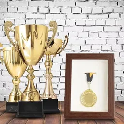 THE STYLE SUTRA Medal Storage Shadow Box Frame Collectible Wood for Insignia Pins Gymnastics Walnut Color 7inch image 1