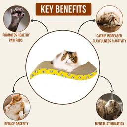 Furrlovers 2 in 1 Reversible Cat Scratcher with cat nip for Cats and Kittens, Pet Scratching Post, Cardboard Scratch Pad, Toys for Cats and Kittens (Wave) image 4