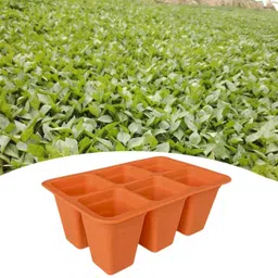 THE STYLE SUTRA® 11 Pieces Seed Starter Trays Silicone for Hydroponic Vegetables Fruit Indoor Pink | Home & Garden image 5