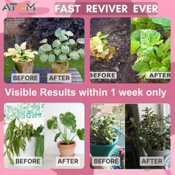 Atom Agrotech Plant Growth Enhancer Supplement 50ml- Root Enhancer For Plants, Best Organic Supplement For Gardening & Outdoor plants, Home & kitchen Gardening | Pack Of 2 (2) image 3