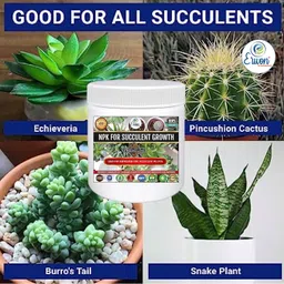 erwon NPK for Succulent Growth (200 gm growth NPK) image 5