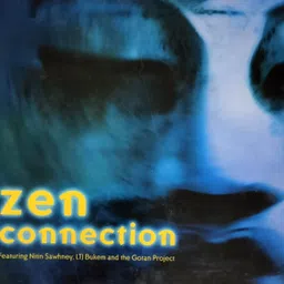 DKD Zen Connection Songs (Set of 2 Audio cds) image 1