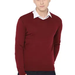 allen solly Men's Wool V-Neck Sweater image 1