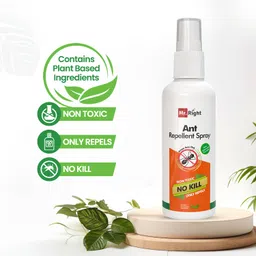 Mr. Right Herbal Ant Repellent Liquid Spray (100 ml) | No gas, Smart Way to Repel Ants at Home image 3