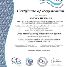 Smoky Herbals 100% Tobacco & Nicotine Free Cigarette for Refresh Mood & Relieve Stress for Men & Women (REGULAR FLAVOUR, 2 Packets) image 5