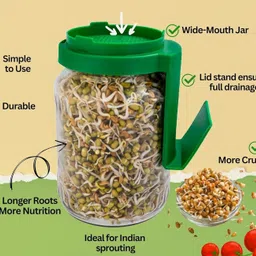 GROFFY Sprout Maker Multi Use Sprouts Maker jars - 720 ML Glass Mason Jar with Mesh Lid for All Seeds & Beans, Sprouts Making Box with Built in Drainage Stand (SET OF 1(GREEN)) image 5