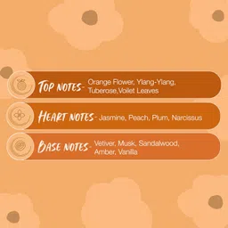 Secret Temptation Mystery Deodorant 160-ML (Pack of 2) image 4