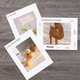 Golden State Art, Acid Free, Pack of 10 11x14 White Picture Mats Mattes with White Core Bevel Cut for 8x10 Photo image 4