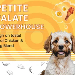 bark out loud BARK OUT LOUD,Vivaldis - Essentials Dog Food-Small/Mini Breed | Real Chicken & Egg | Gluten Free Prebiotics, Fish Oil for Immunity | Adult Dry Dog Food for Shitzu, Poodle - 1Kg image 3