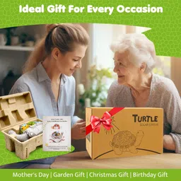 Tiejiajiang Solar Garden Turtle Statue - Turtle Decor with 7 Solar LED Lights, Outdoor Decorations for Yard, Patio, Lawn & More, Gray Turtle Resin Statue image 2