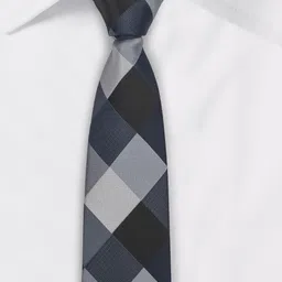 the tie hub Premium Asteria Checkered Silk Necktie for Men image 5