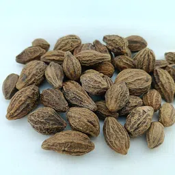 advancedestore Dried Whole Karakkaya - Harad - Aralu - Inknut - Haritaki - Kadukkai - Harar - Terminalia Chebula - 250 G - Loose Packed image 3