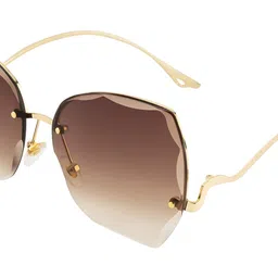 ted smith Women's UV Protection Brown Graded Lens Gold Butterfly Sunglasses image 1