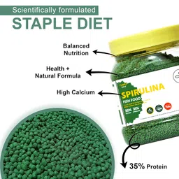 TUNAI 31% Spirulina Optimum Choice Fish Food |250G| Fish Feed for All Medium & Adult Tropical Fish |1Mm Pellets|, Better Color & Growth, 1 Count image 2