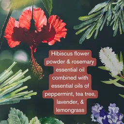 the nature mill Hibiscus Rosemary Hair Serum Oil. For stronger hair. 100ml (Coconut Peppermint) image 5