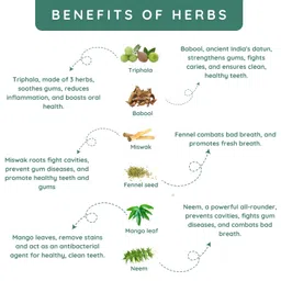 Toothfully yours All in one tooth powder with only pure ayurvedic herbs, Plaque remover for teeth, Bad breath remover, Dant manjan powder for healthy gums (Pack of 1) image 3