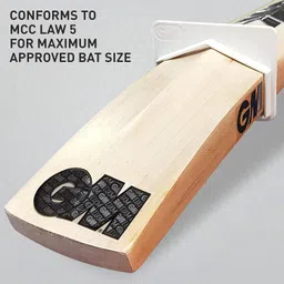 GM Noir Excalibur English Willow Professional Cricket Bat for Men and Boys | Free Cover | Ready to Play | Lightweight | Harrow| image 4