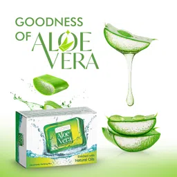Ozone Ayurvedic Aloe Vera Bathing Bar | Soap For Men & Women | Ideal For Glowing, Nourishing & Moisturizing Skin | Enriched with Aloe Vera Extract and Natural Oils | Paraben Free | 125g (Pack of 6) image 2