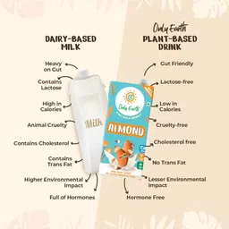 Only Earth Almond Drink | Unsweetened | Lactose-Free | Preservatives Free | Made with Natural Almond Paste | Source of Calcium | Contains Vitamin D,E,B1,B2 & B12 | Dairy Alternative | Cholesterol Free | Plant-Based Alternative | Barista Edition 1L image 3