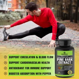 GREENDORSE Pine Bark Extract (95% Proanthocyanidins) with 50% EGCG from Green tea and 0.45% capacasin from Cayenne Pepper| For Blood Flow, Nitric Oxide Production, Antioxidant Powerhouse, Protects Against Cellular Oxidation| Premium Circulatory Complex- 60 Veg Capsules image 3
