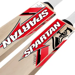 Spartan Sikander 2000 - David Warner Kashmir Willow Cricket Bat (800-950 kg) image 3