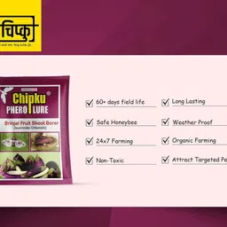 Chipku Indo Chipku Mini Solar Insect Trap Solar Insect for Farming with Brinjal Fruit Borer(Leucinodes Orbonalis) Lure (Mini Solar + Brinjal Fruit Borer Lure) image 2