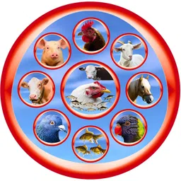 Growel Agrovet Grow E-Sel : Vitamin E, Selenium,Vitamin C, And Biotin, For Poultry, Cattle, Horses, Pigs, Goats, Sheep, Pigeons, And Birds 200 Gm. image 4