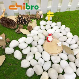 Chibro White Pebbles for Decoration - Pebbles for Plants Pots - Pebbles for Garden, Table and Home Decor, Vase Fillers (1 Kg, White Stone) image 5