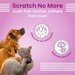 BARK OUT LOUD - Allergy & Itch Relief Shampoo Effective On Food, Flea Allergy Rashes & Long Lasting Skin Conditions 200Milliliter (Dogs & Cats) image 3