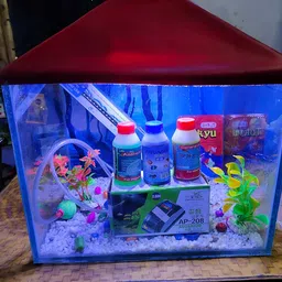 PRIYU 15 Litre Aquarium Glass Tank Aquarium Set (9X9X12 inches) image 1