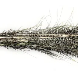 Achleshwar Bunch of 10 Real Peacock Feathers/Moor Pankha Broom/Jhadu for Mandir Cleaning/Suitable for Nazar Suraksha image 2